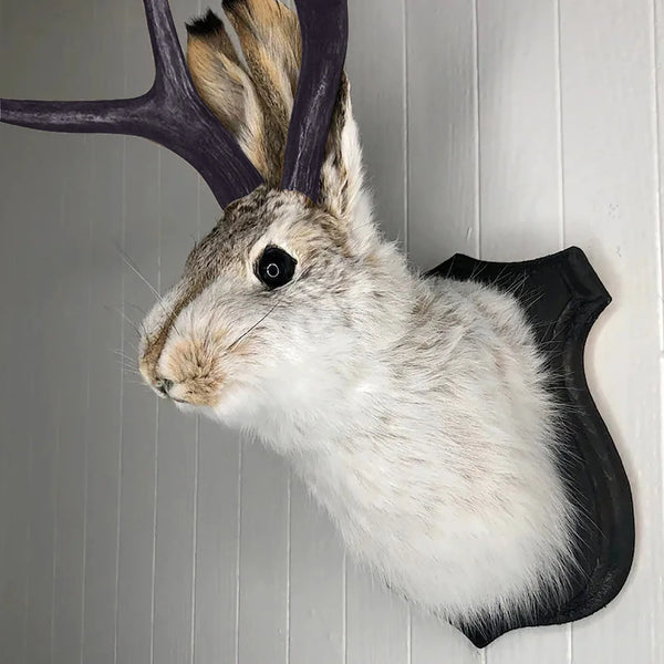 Rabbit Head Wall Decor - Resin Animal Wall Mount for Home Decoration