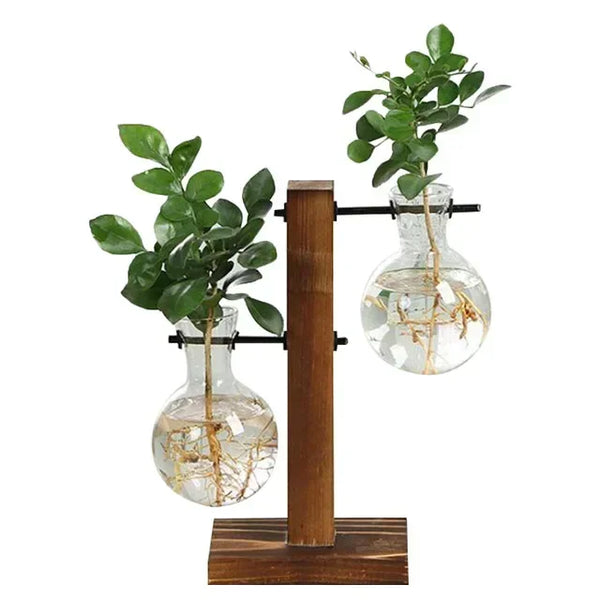 Terrarium Vase with Wooden Frame - Modern Tabletop Plant and Flower Decor